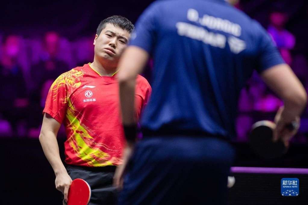 观赛信息与 观赛信息与